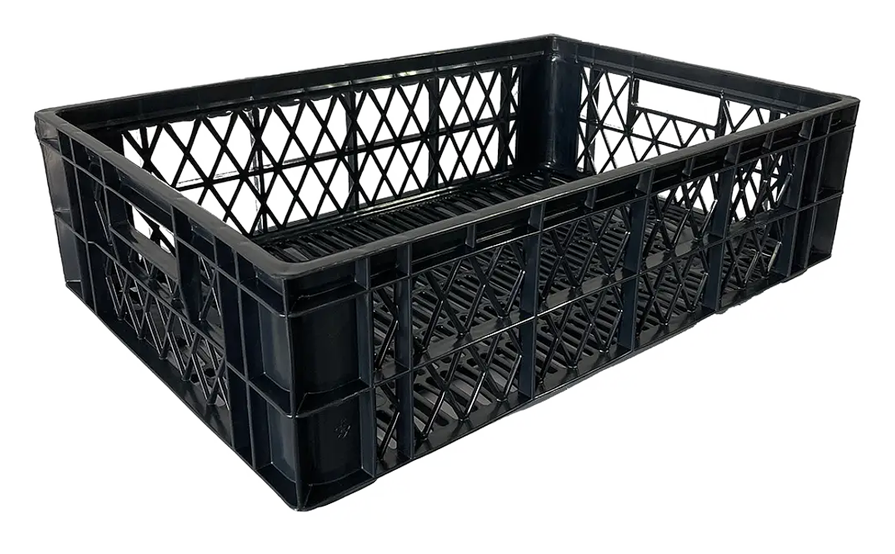 Pollera G1