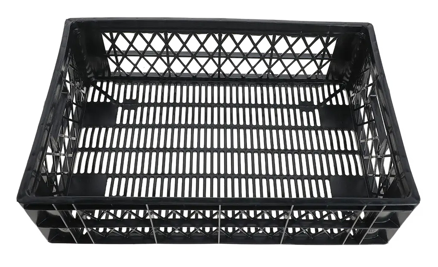 Pollera G1