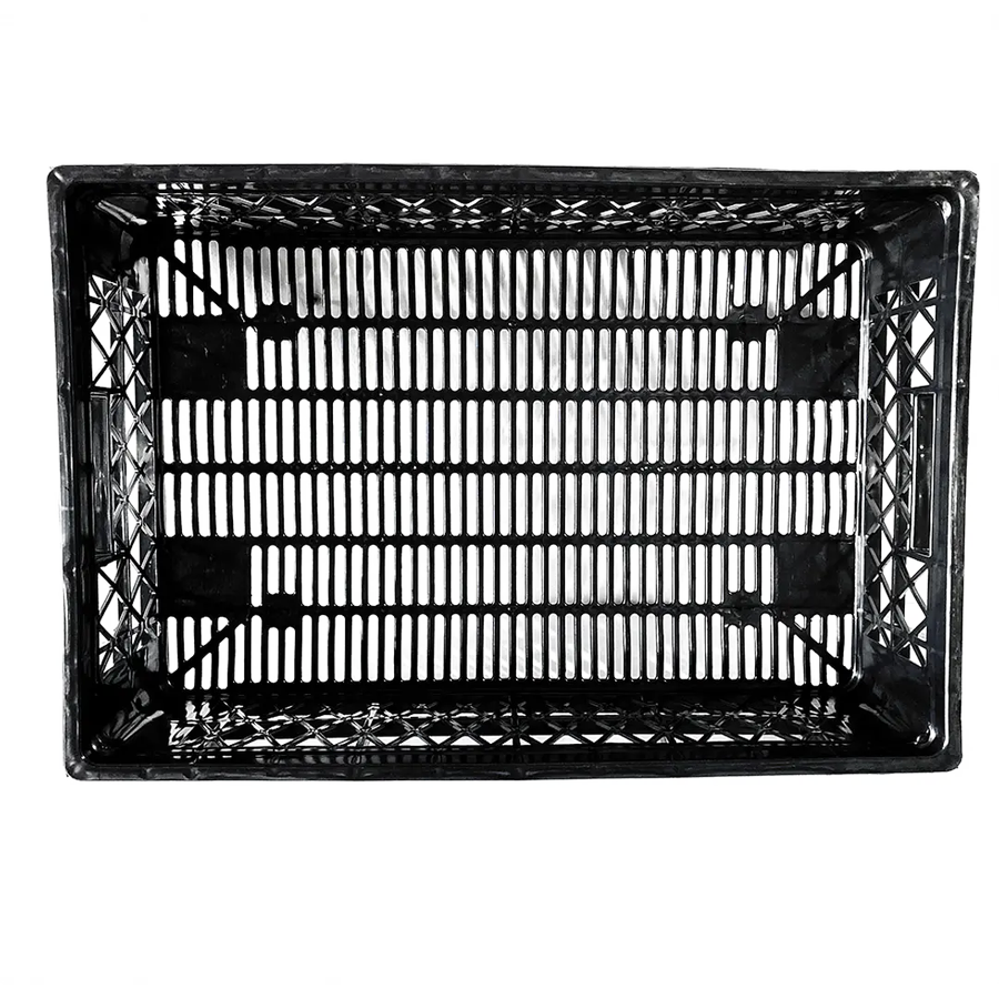 Pollera G1